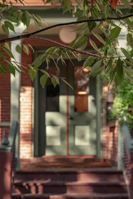 New tree in the front