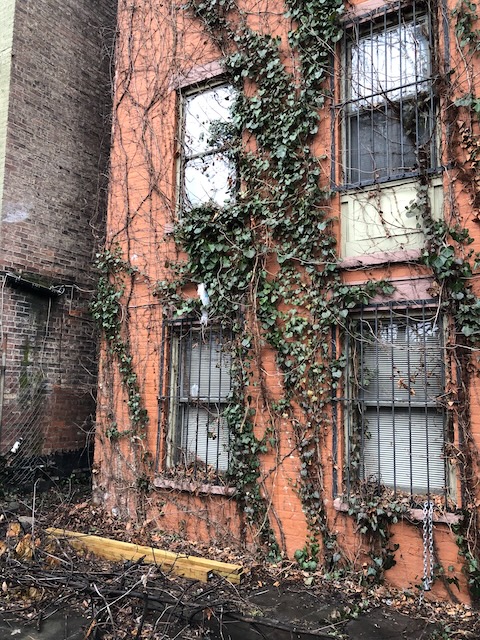 Rear brick wall